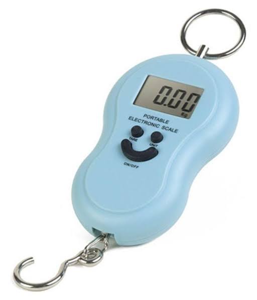 Portable Electronic Scale